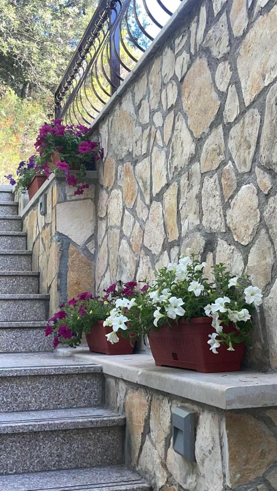 Villa Terra Nostra Hvar Hvar Town Exteriér fotografie