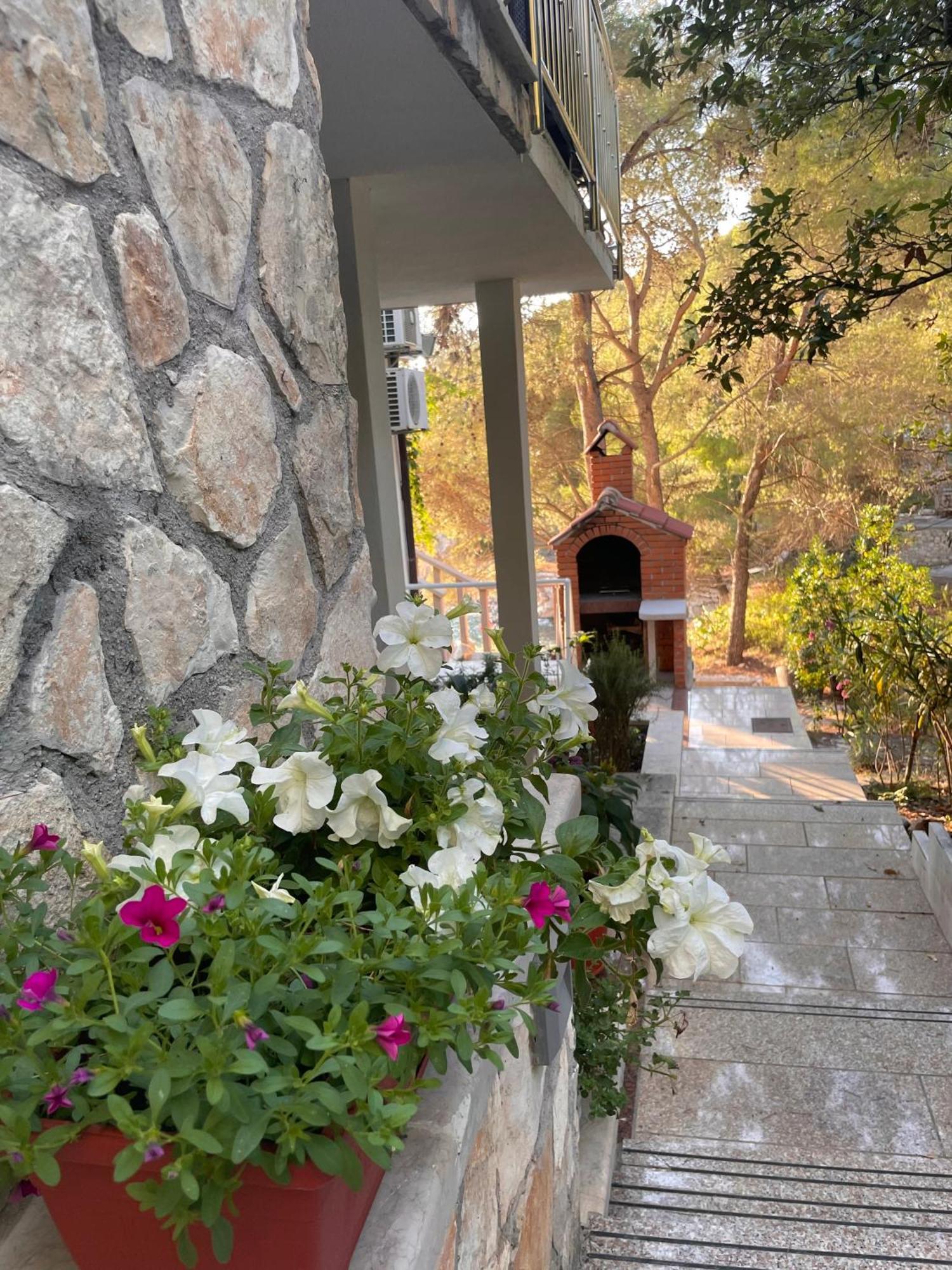 Villa Terra Nostra Hvar Hvar Town Exteriér fotografie