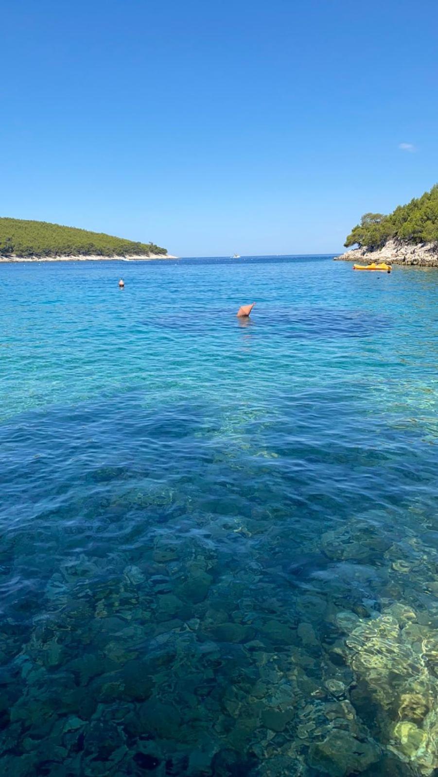 Villa Terra Nostra Hvar Hvar Town Exteriér fotografie